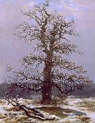 Eiche im Schnee Caspar David Friedrich